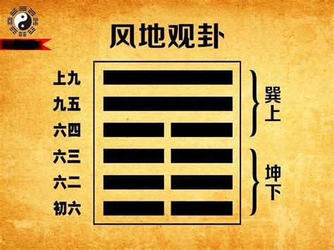 觀卦感情|第20卦 解读《易经》，如何学会自我反思—— 风地观（观卦）